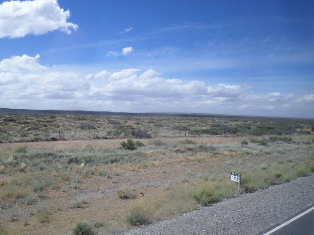 SAM_0253
