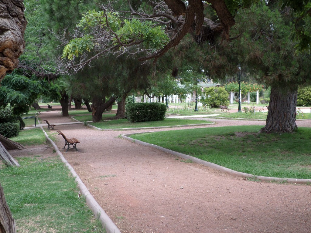 SAM_0255