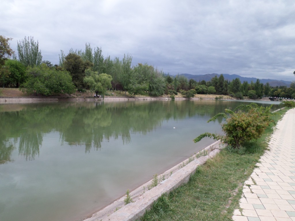 SAM_0256
