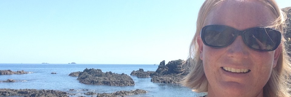 Auckland – Jan. 12th – Jan. 14th & Jan. 17th