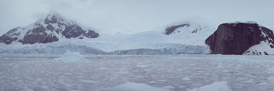 Danco Island – Jan. 5th (Morning)