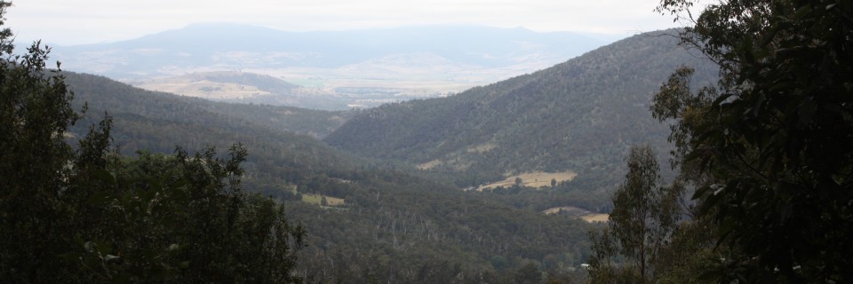 Mt. Field National Park – Feb. 17th