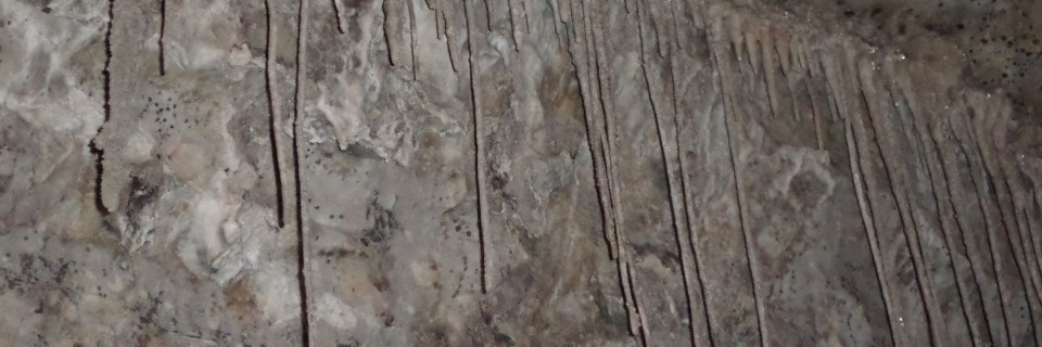 Mole Creek Caves – Feb. 23rd