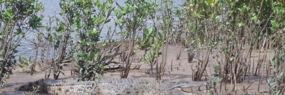 Cairns – Mar. 26th – 28th & Apr. 1st – 2nd