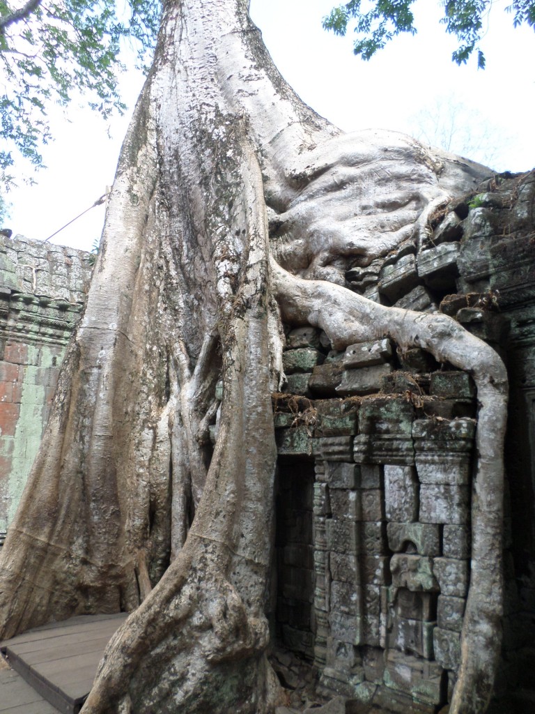 SAM_2204