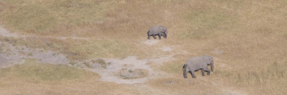 Ghanzi to Maun – June 16th