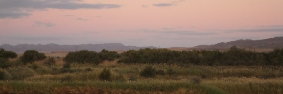 Citrusdal to Gariep – June 4th